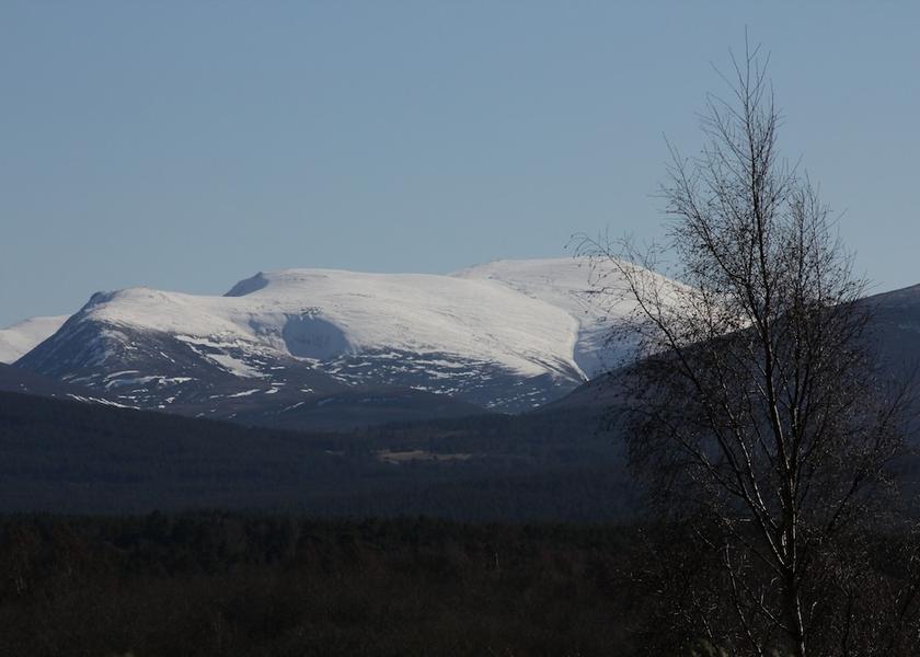Scotland Grantown-on-Spey Property Grounds