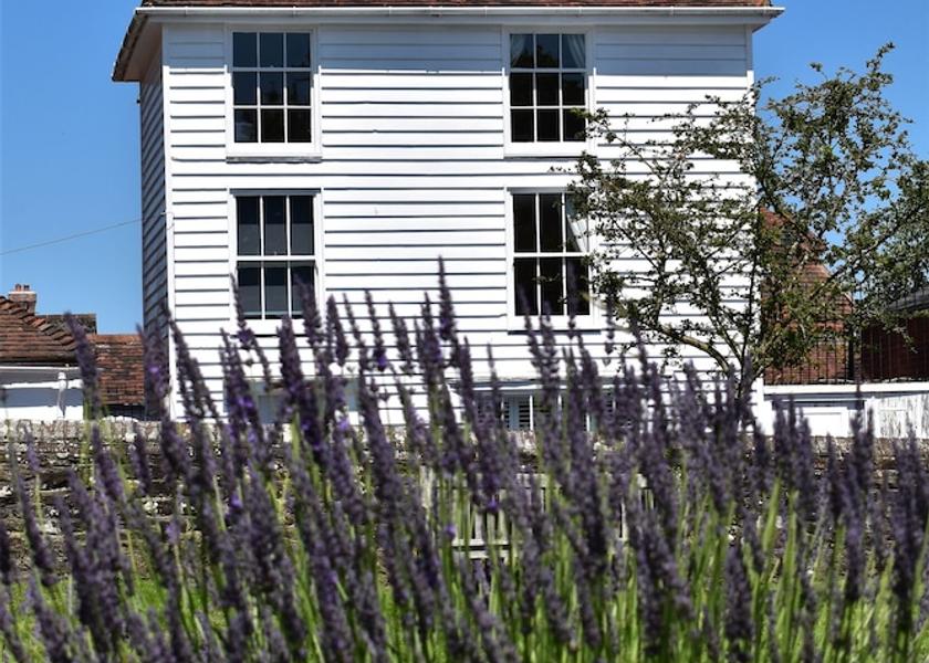 England Winchelsea Primary image