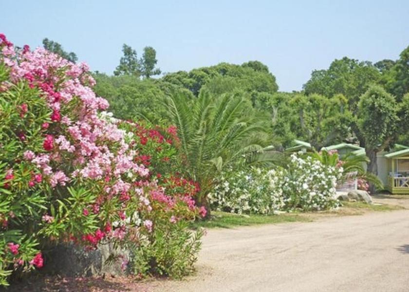 Corsica Porto-Vecchio Garden