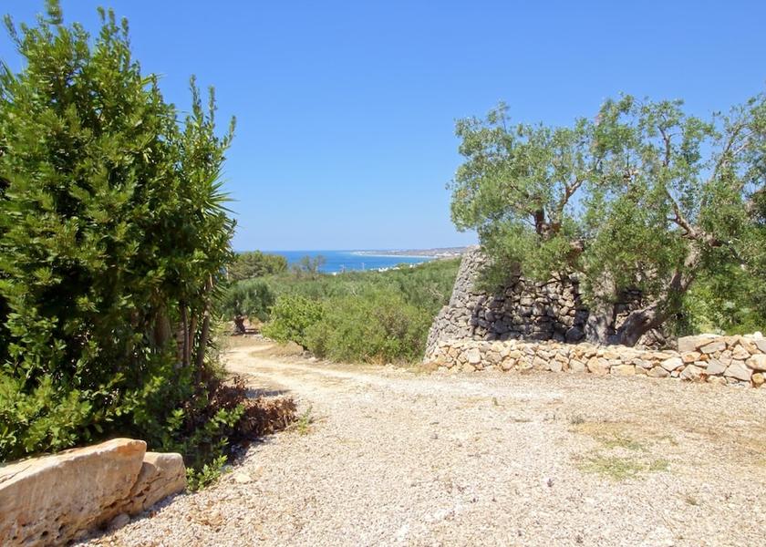 Puglia Patu Property Grounds