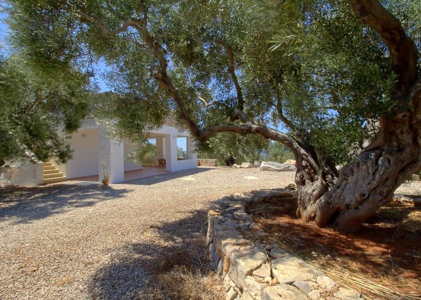 Puglia Patu Property Grounds