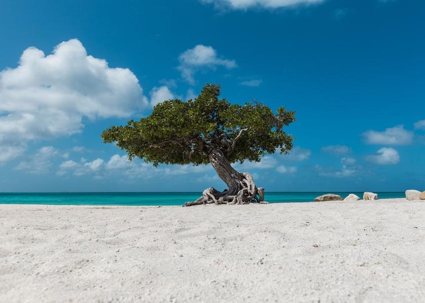  Noord Beach