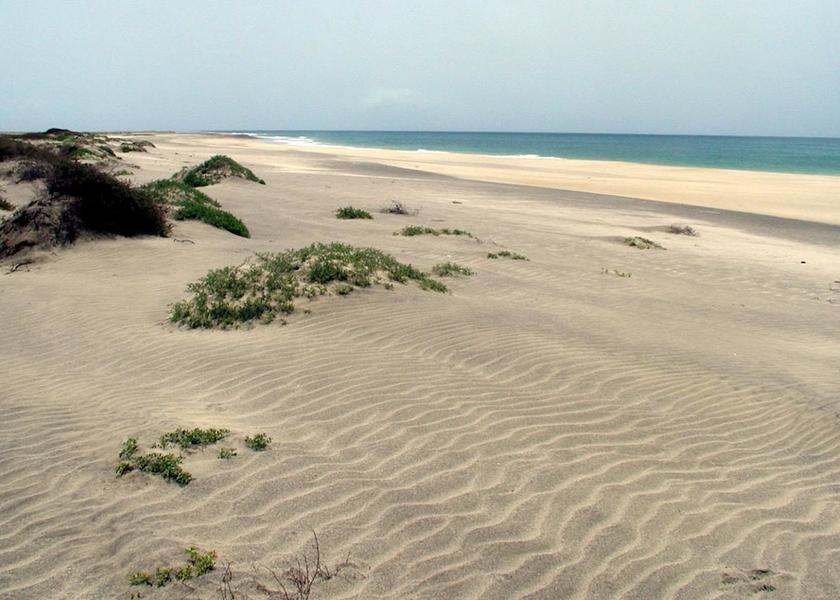  Maio Exterior Detail