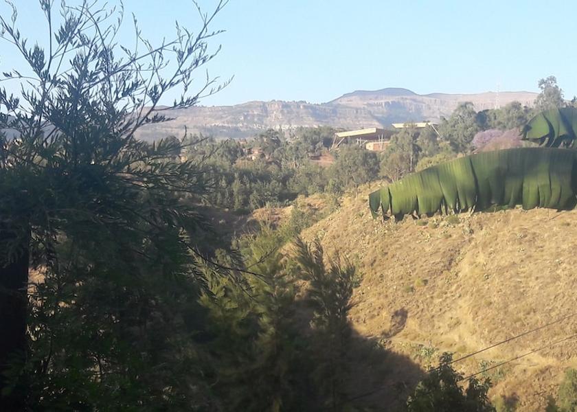  Lalibela View from Property