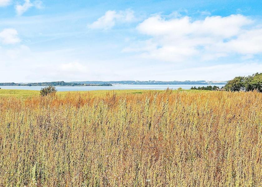 Syddanmark Faaborg Amenity