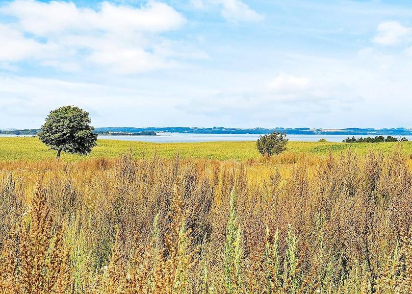 Syddanmark Faaborg Amenity