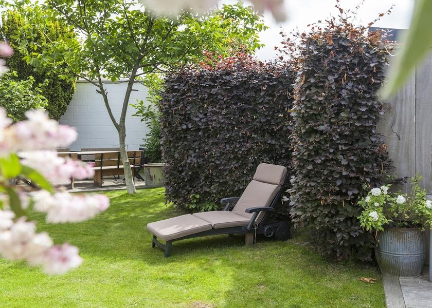 Flemish Region Knokke-Heist Garden