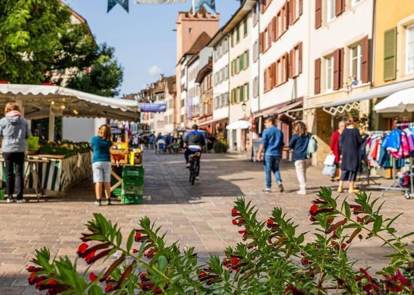 Canton of Aargau Rheinfelden City view from property