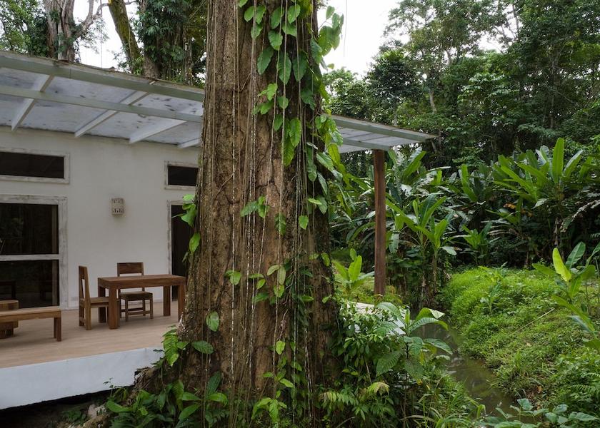 Limón Province Cahuita Garden