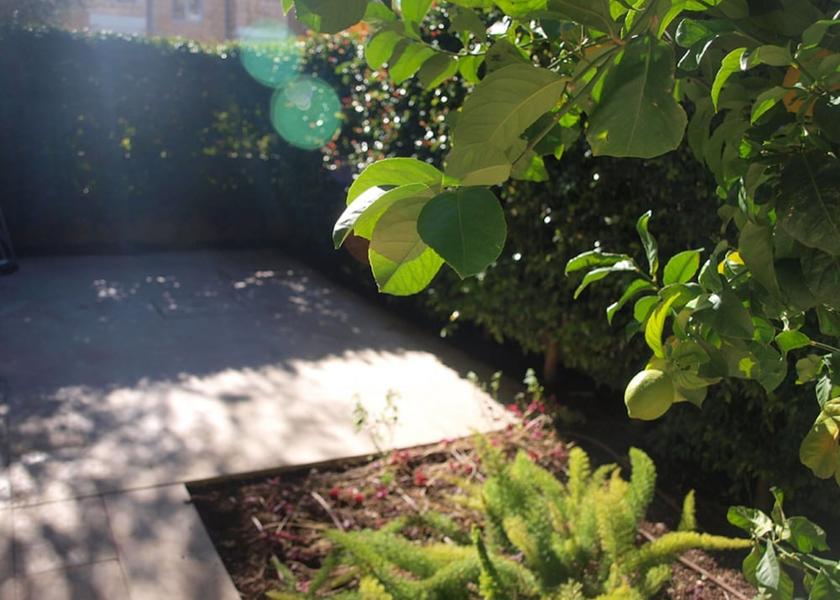  Jerusalem Property Grounds