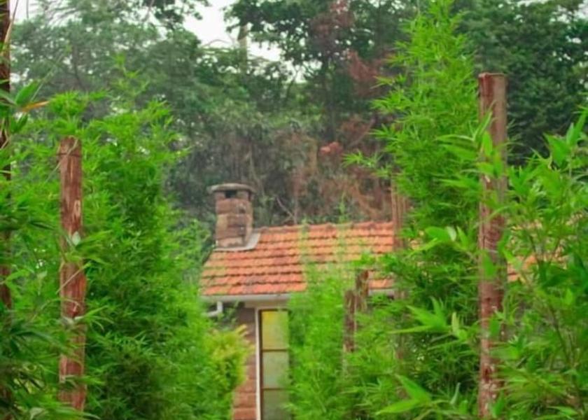  Nairobi Exterior Detail