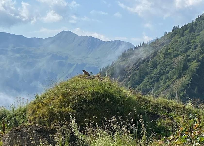 Salzburg (state) Kaprun Exterior Detail