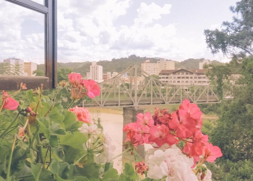 Santa Catarina Blumenau View from Property