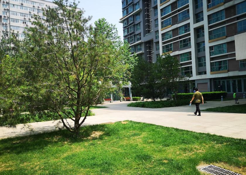 Hebei Beijing Exterior Detail