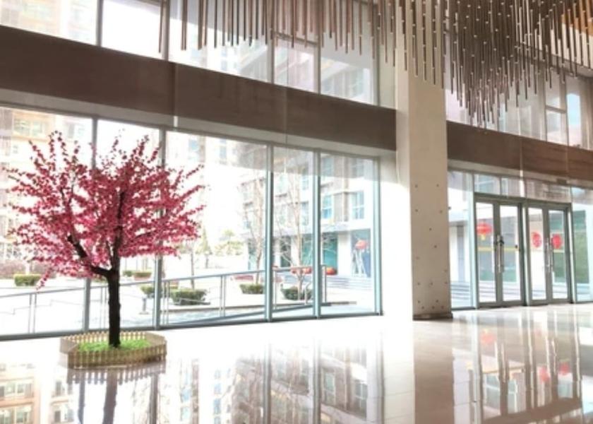 Hebei Beijing Exterior Detail