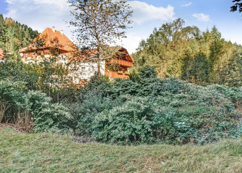 Thuringia Masserberg View from Property