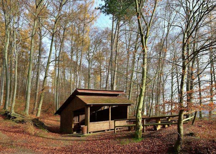 Hameln-Pyrmont Bad Pyrmont View from Property