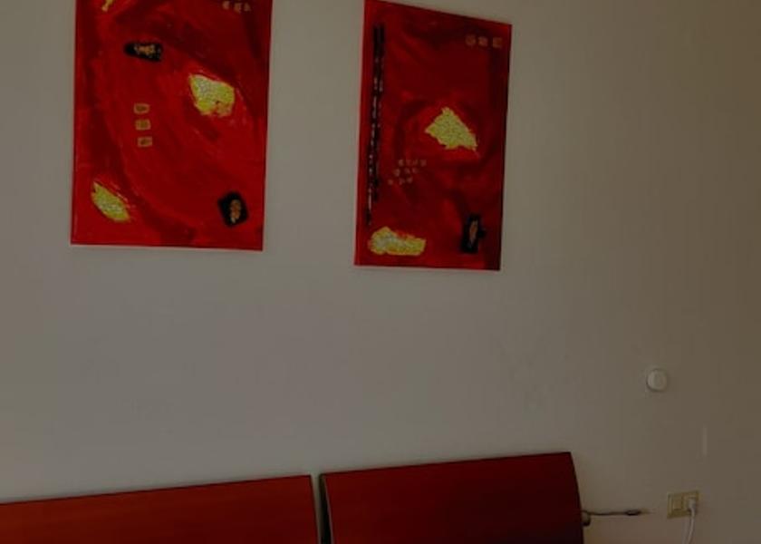 Baden-Wuerttemberg Bad Peterstal-Griesbach Room