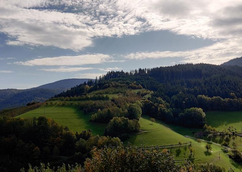 Baden-Wuerttemberg Bad Peterstal-Griesbach View from Property