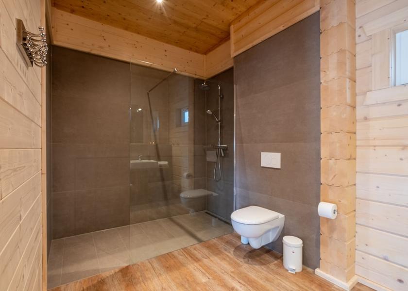 Saxony-Anhalt Wernigerode Bathroom