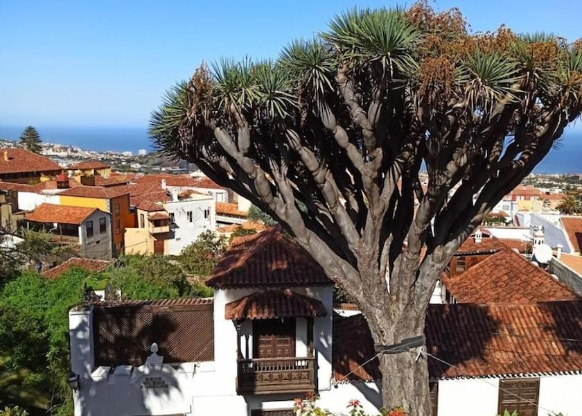 Canary Islands La Orotava Exterior Detail