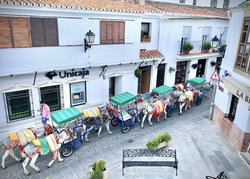 Andalusia Mijas City View