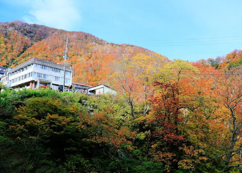 Niigata Myoko Exterior Detail