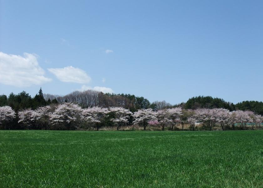 Yamanashi Hokuto Land View from Property