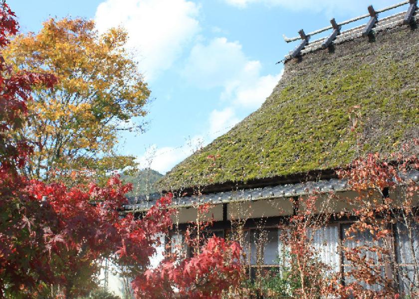 Kyoto Nantan 