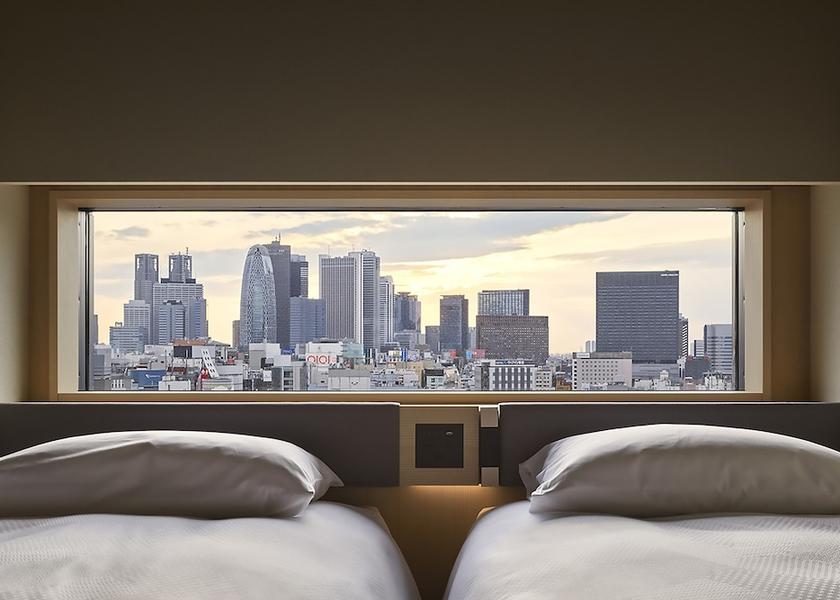 Tokyo Tokyo City view