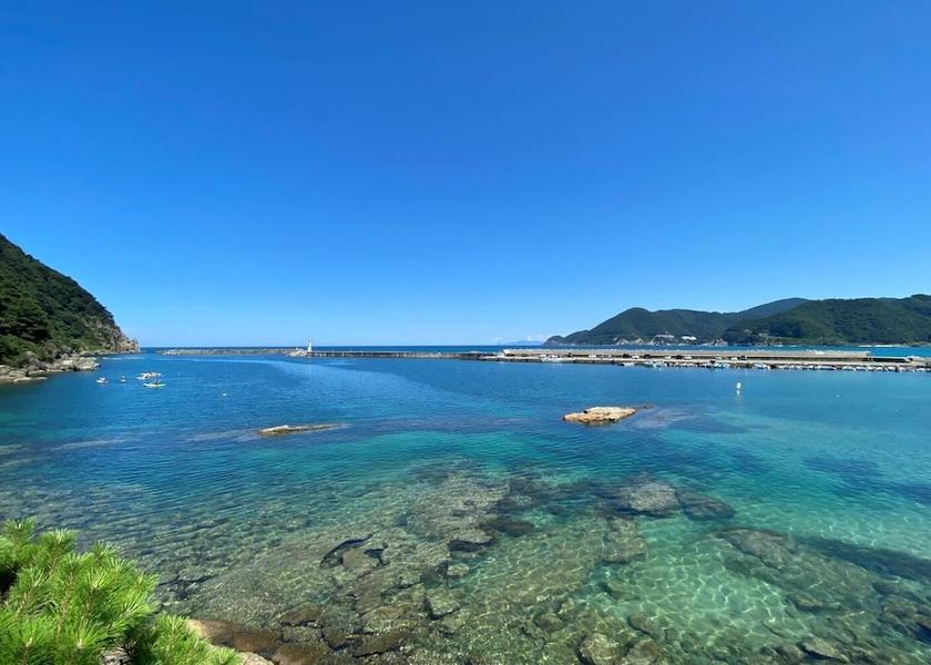 Hyogo Toyooka View from Property