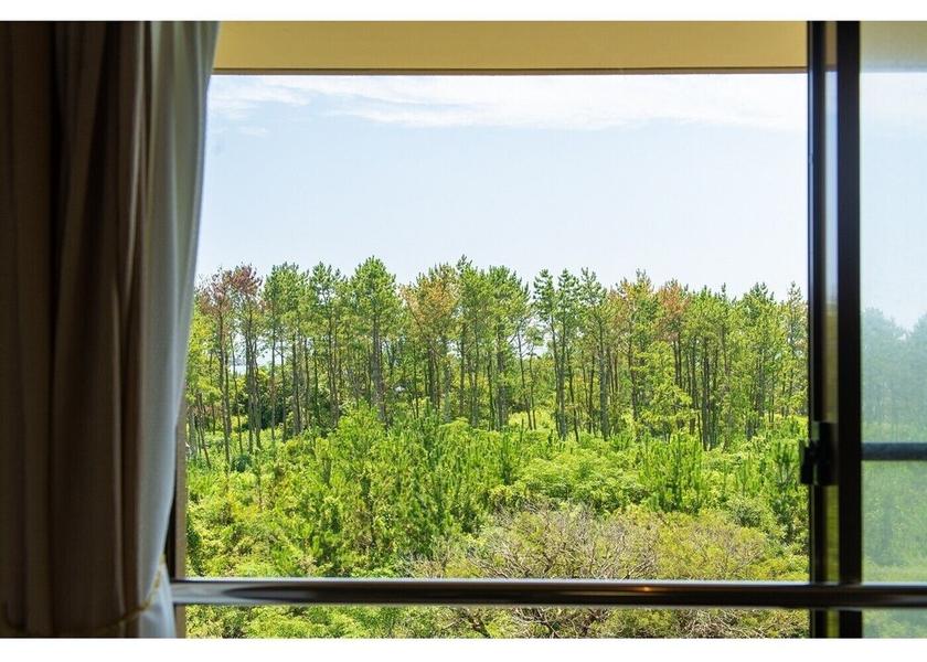 Shizuoka Iwata View from Property