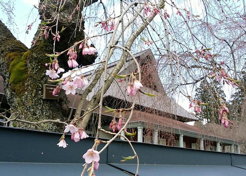 Akita Senboku Nearby attraction