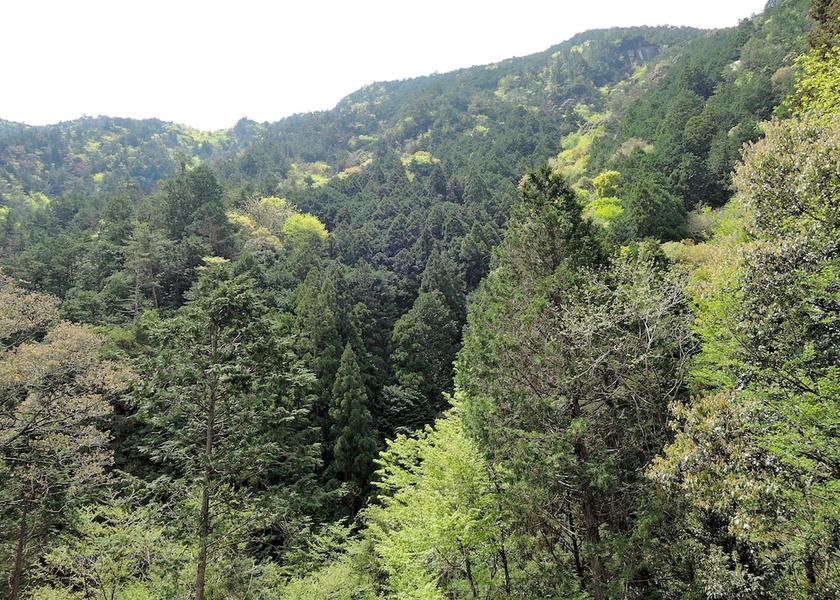 Aichi Shinshiro Mountain View