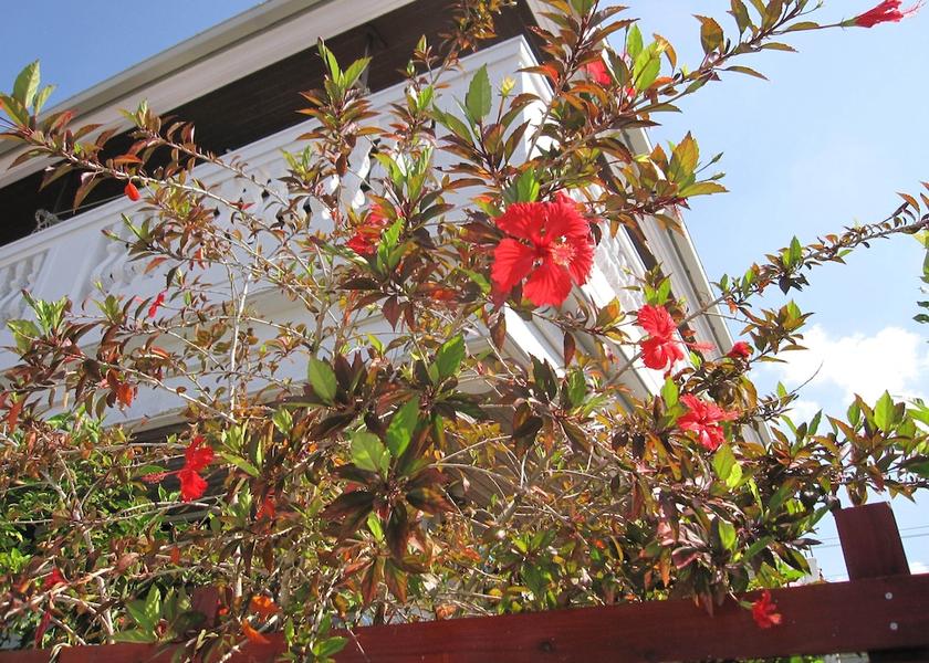 Okinawa (prefecture) Nago Garden