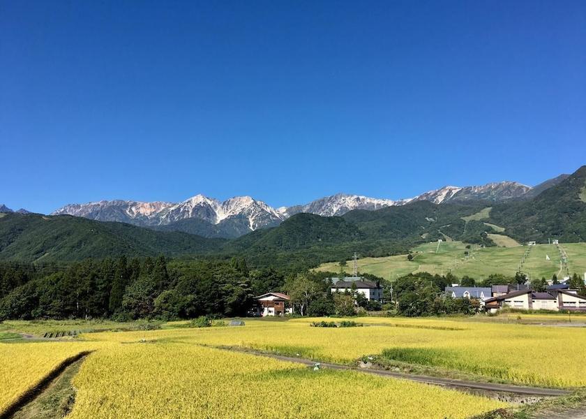 Nagano Otari Property Grounds