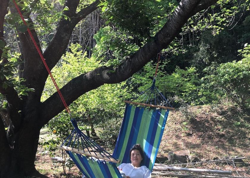 Oita (prefecture) Hiji Property Grounds