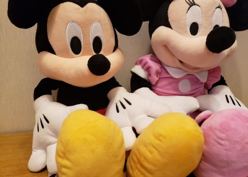 Chiba (prefecture) Urayasu Interior Entrance