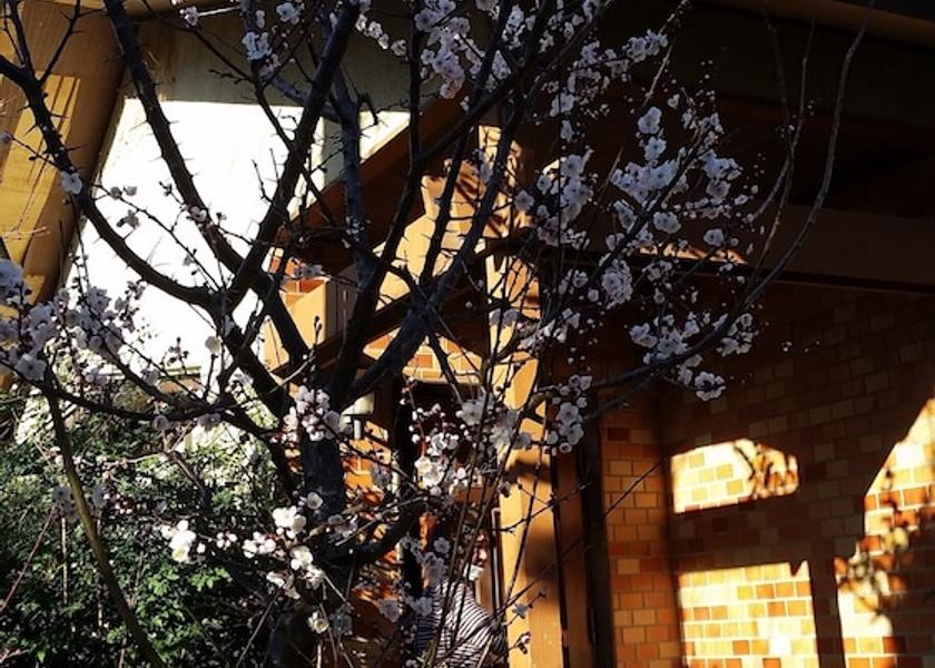 Chiba (prefecture) Matsudo Exterior Detail