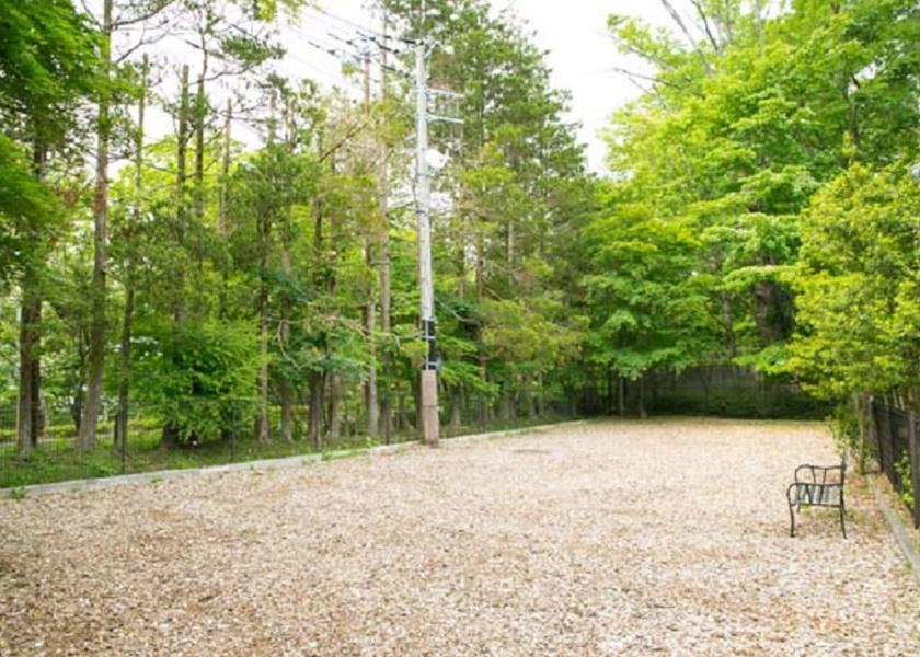 Yamanashi (prefecture) Yamanakako Pet-Friendly