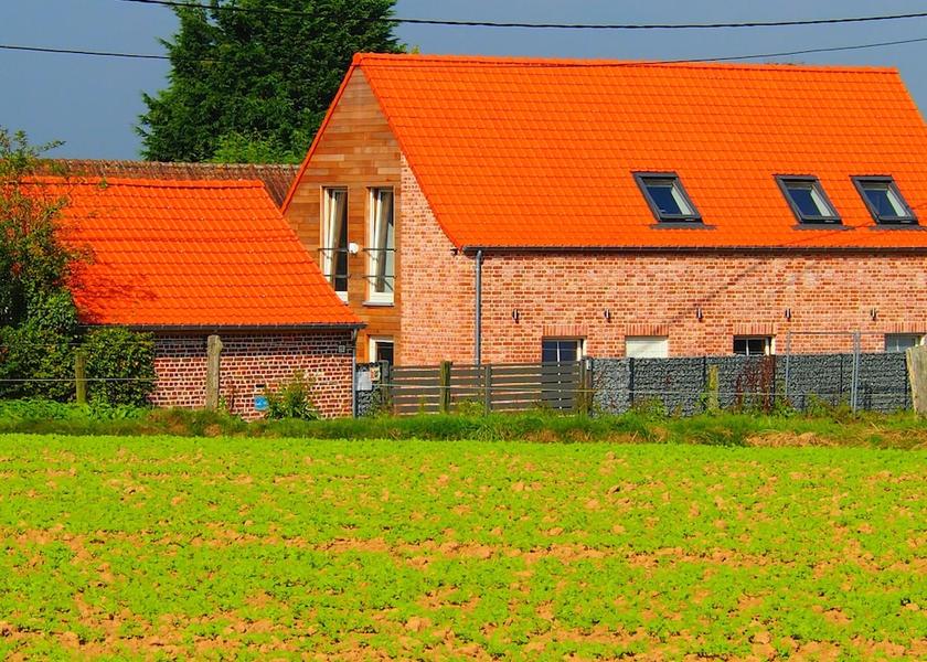 Walloon Region Ellezelles Exterior Detail