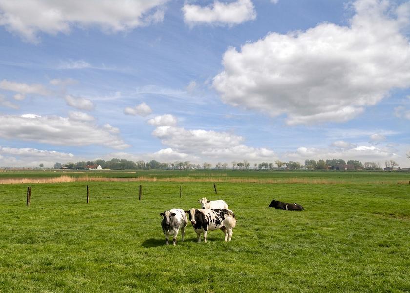 Flemish Region Middelkerke Exterior Detail