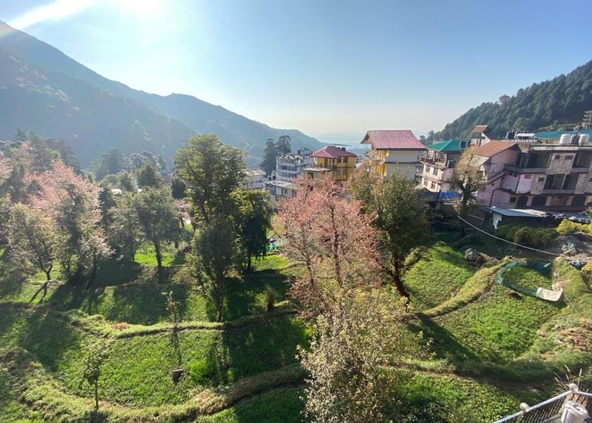 Himachal Pradesh Dharamshala View from Property