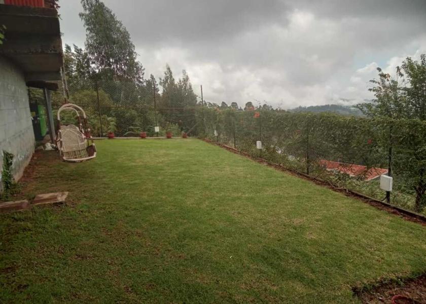 Tamil Nadu Ooty Garden