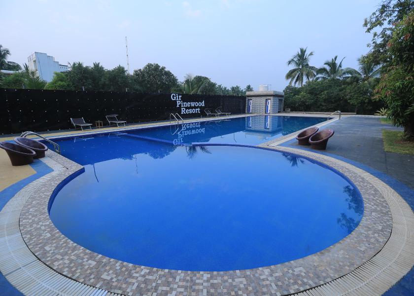 Gujarat Sasan Gir Swimming pool