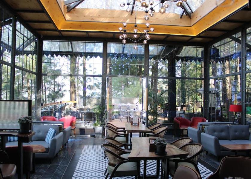 Himachal Pradesh Kasauli Food & Dining