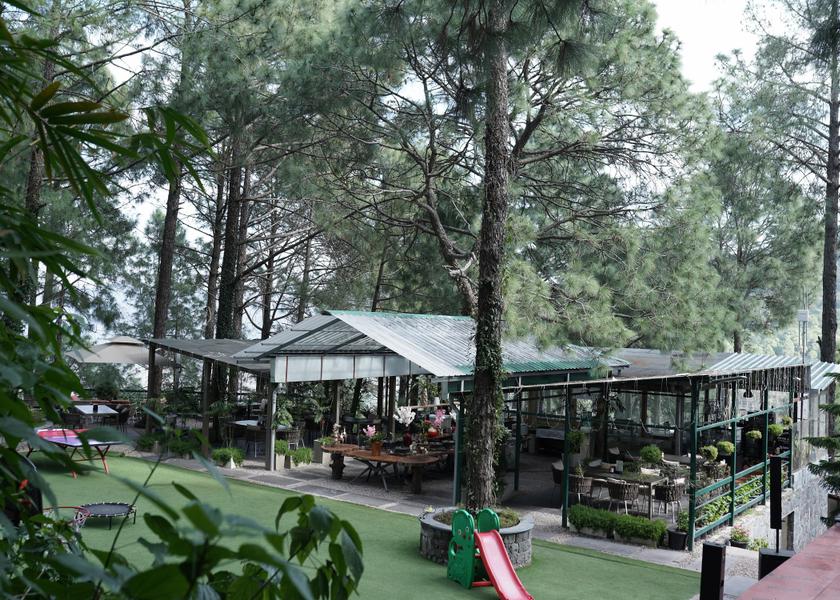 Himachal Pradesh Kasauli Hotel Exterior