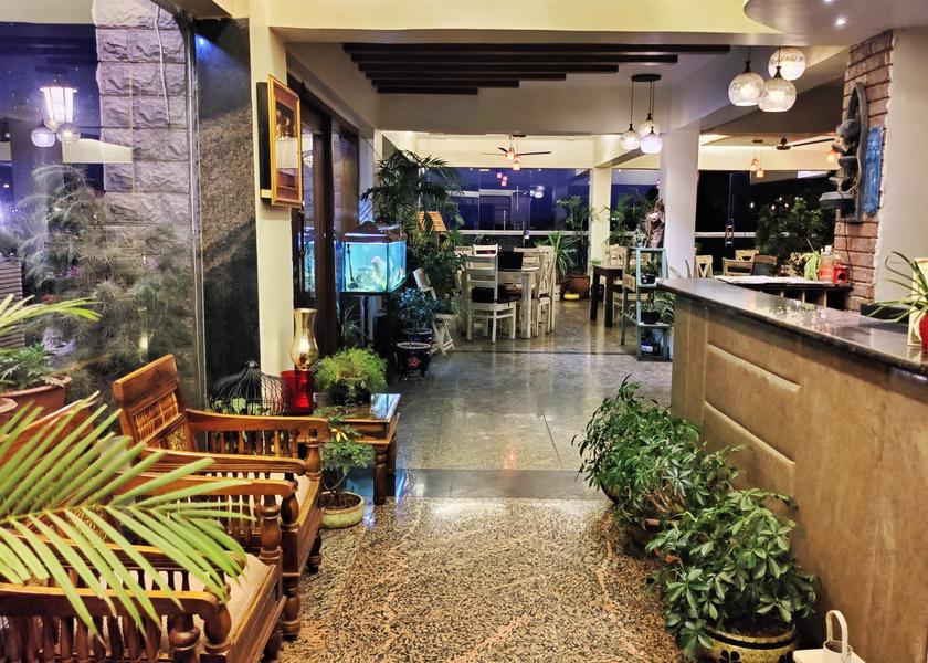Himachal Pradesh Kasauli Public Areas