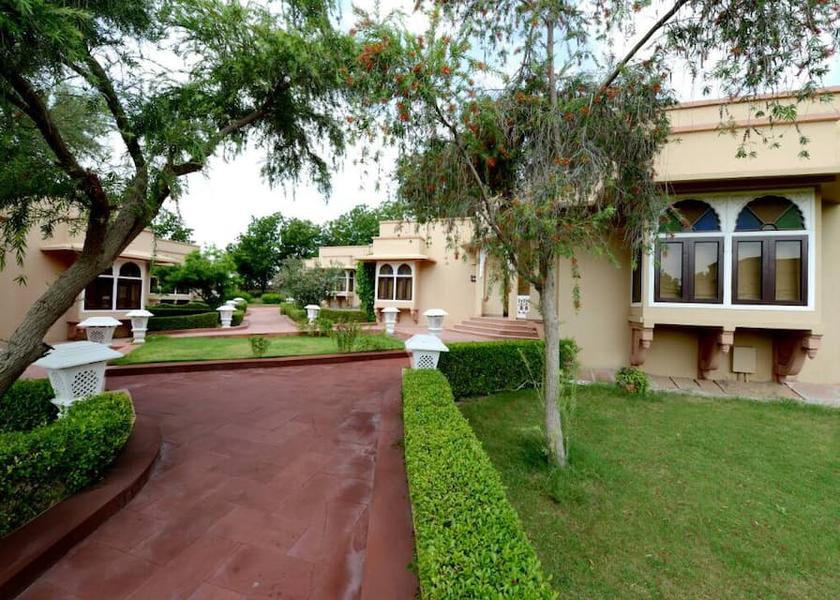 Rajasthan Bikaner Outdoors