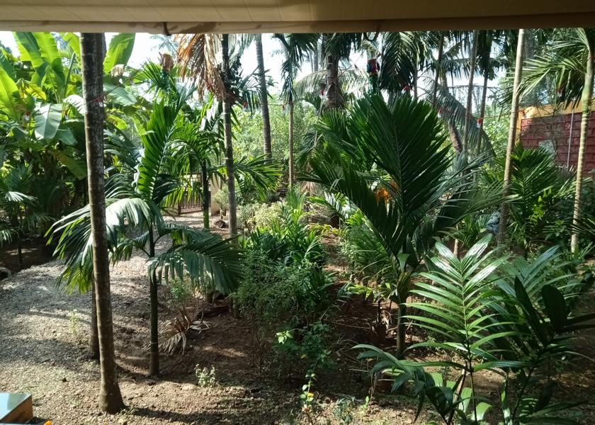 Maharashtra Diveagar Outdoors